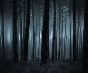 Nyktofobia (lęk przed ciemnością): przyczyny i leczenie