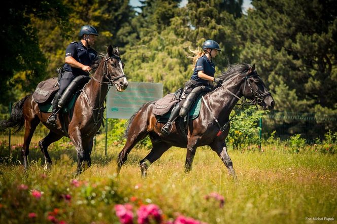 Tradycja patroli konnych ma ponad 100 lat