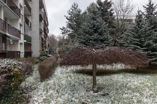 Śnieg w Łodzi. Jak wygląda sytuacja na drogach? Zapytaliśmy kierowców