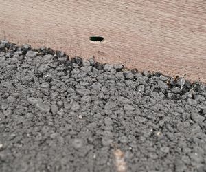 Wojsko przypadkowo ostrzelało domy w Bielsku Podlaskim