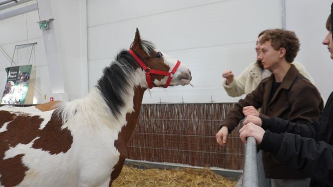 ZOOPARK w Lublinie. „Postawiliśmy na polski las. Chcemy promować nasze zwierzątka”