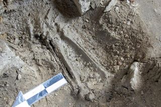 Sensacyjnye odkrycie w Bytomiu