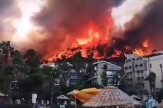 Fala upałów w Europie! Centra chłodzenia powstają w miastach