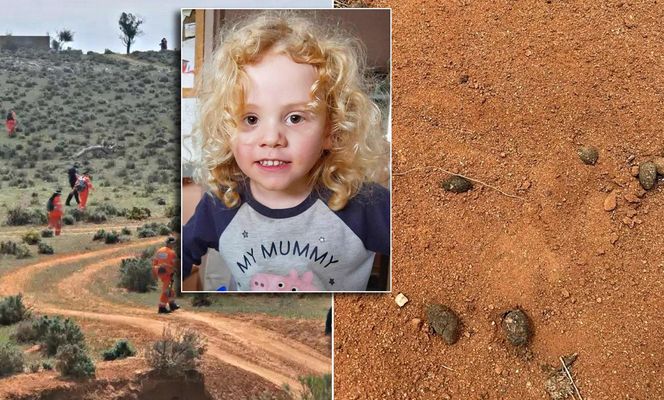 Tajemnicze zaginięcie 4-latka! Tylko jeden mały ślad