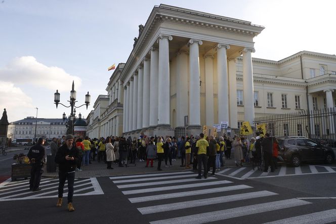 Wielki protest przez ratuszem. Wolontariusze walczą o życie kotów