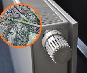 Można dostać nawet 1750 zł od rządu. Ruszył właśnie nabór wniosków