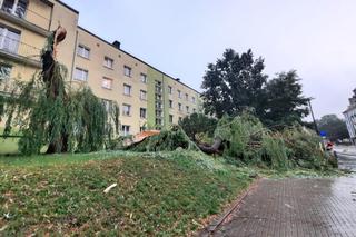 Kolejne groźne nawałnice przeszły nad Warmią i Mazurami. Strażacy interweniowali kilkaset razy [ZDJĘCIA]