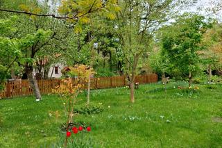 Ogród Botaniczny UKW jest jak nowy. Sprawdźcie, co się tam zmieniło!