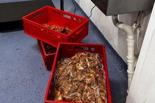 Policjanci wpadli na nielegalny kebab. Zabezpieczyli ponad półtorej tony lewego mięsa do kebaba 