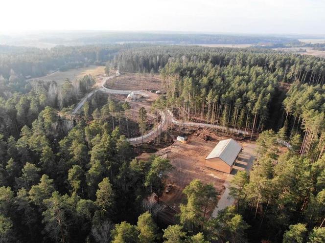 Kopna Góra. Na Podlasiu powstaje zagroda pokazowa żubrów