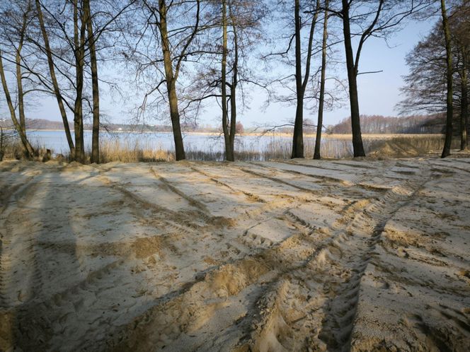 Osieczna przygotowuje plaże na Stanisławówce 