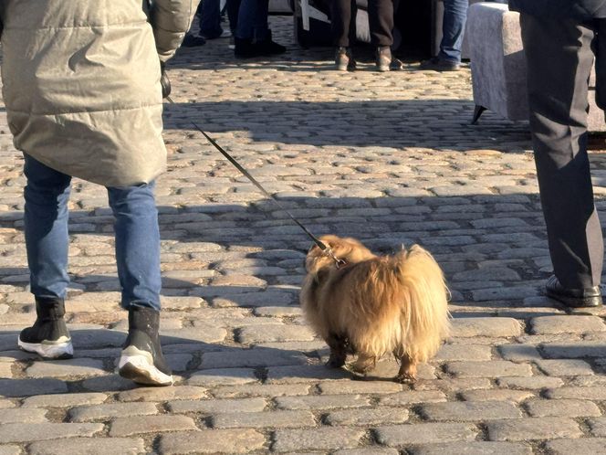 Tak wygląda typowa niedziela na Dworcu Świebodzkim we Wrocławiu