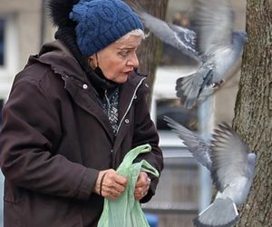 Anna Chodakowska. Gwiazda Labiryntu wśród ptaków