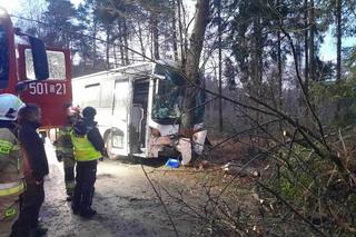Szkolny autobus uderzył w drzewo