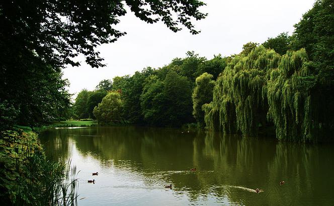 Park Oruński
