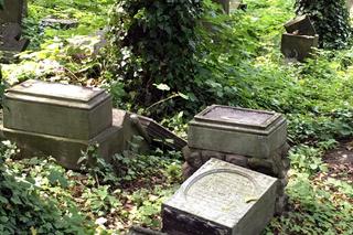 Zdewastowali zabytkowy cmentarz. Wandale zniszczyli 26 nagrobków