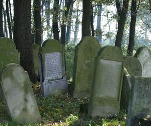 Zabytkowe cmentarze w Tarnowie i okolicach