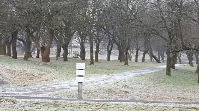 Park Grabek w Czeladzi