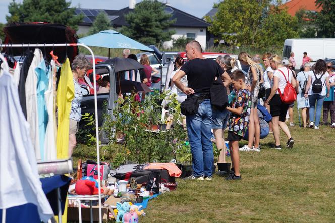 Pchli targ w podbydgoskich Przyłękach przyciągnął tłumy [ZDJĘCIA]