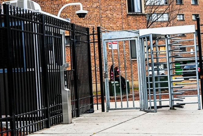 Rozmowa z Katarzyną Kogut z Chicago 