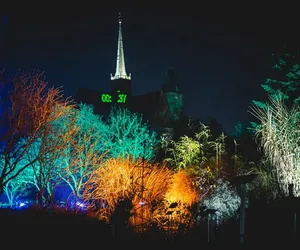 Światłogród w Ogrodzie Botanicznym we Wrocławiu. Robi wrażenie! [ZDJĘCIA]