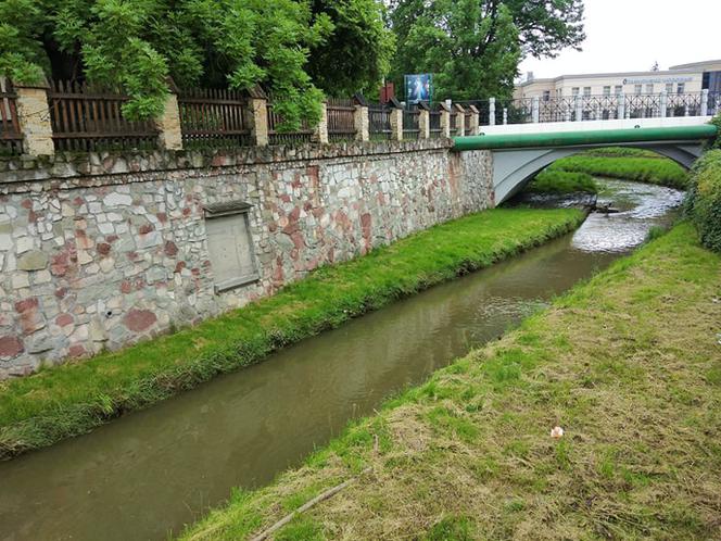 Sytuacja hydrologiczna w Tarnowie. Czy grozi nam powódź?