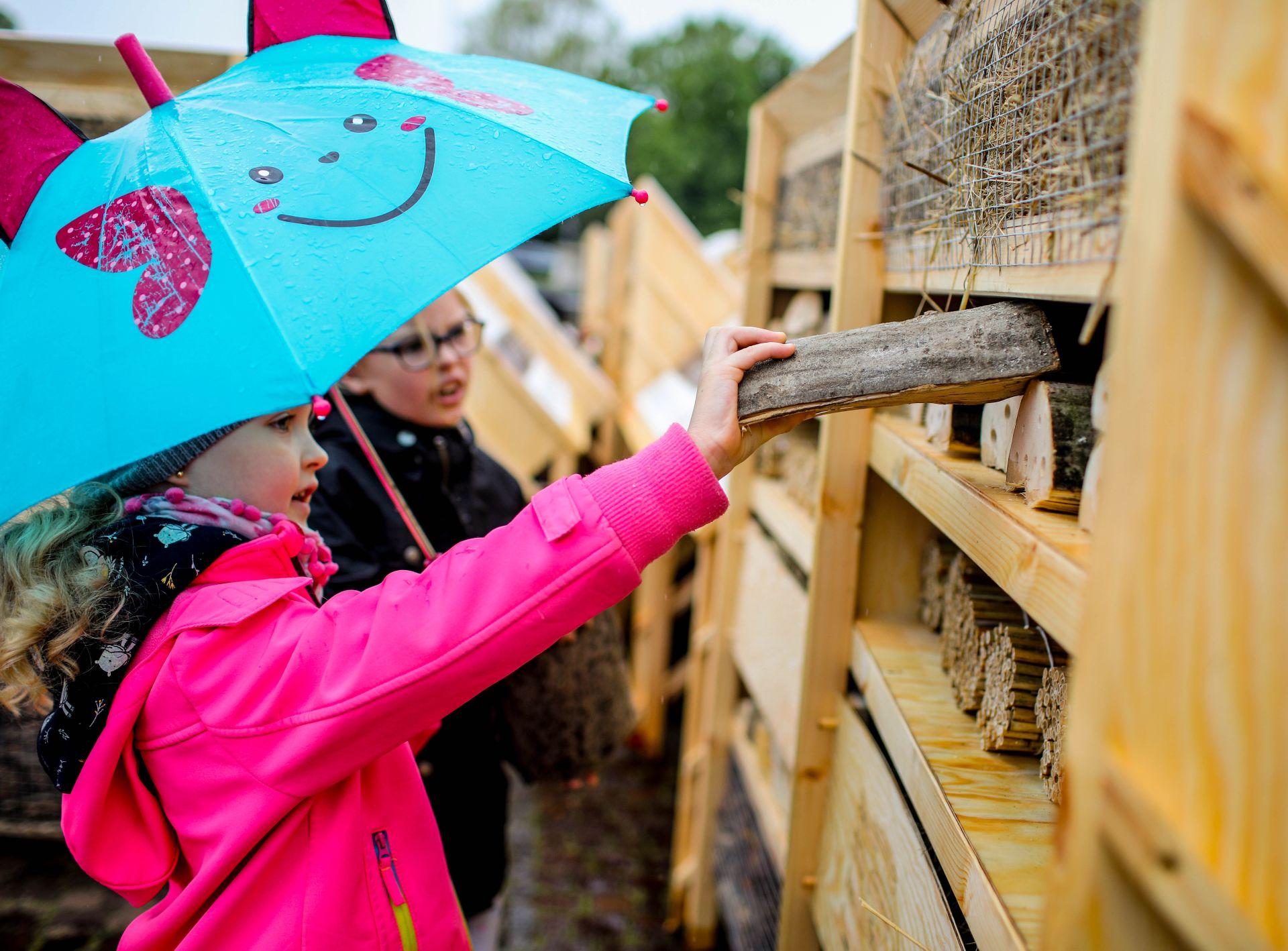 W Polsce powstał największy na świecie dom dla owadów. Właśnie trafił do księgi Guinnessa