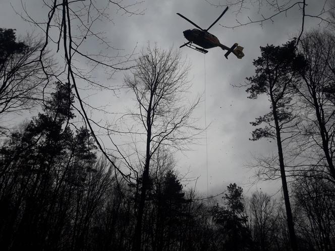 Mężczyzna przygnieciony przez drzewo