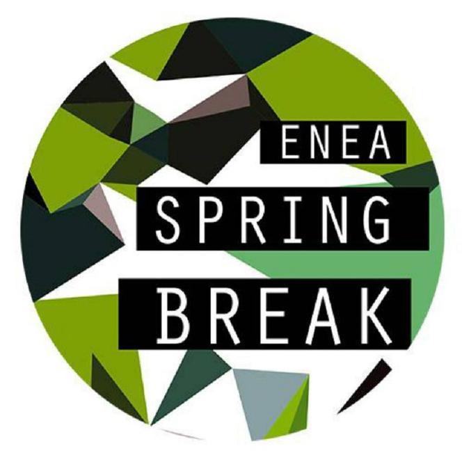 Logo Spring Break 2017