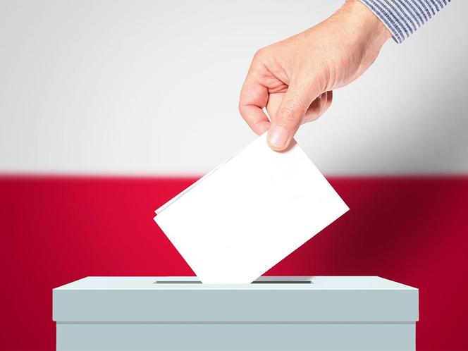 Kto został radnym w Zielonej Górze? Oto wyniki głosowania