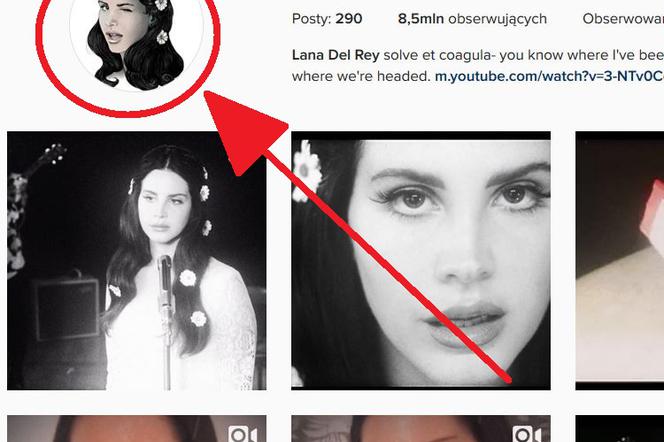 Lana Del Rey, Instagram