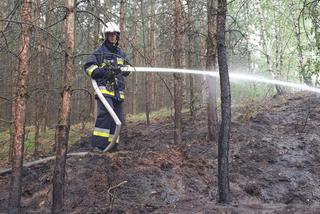 Pożar lasu pod Bydgoszczą! 
