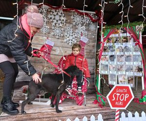 Bieg z seniorkiem - akcja schroniska w Hnerykowie dla podopiecznych psów