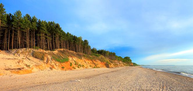 Mordercza bakteria w Bałtyku