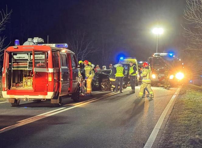 Wypadek na DK 43 między Krzepicami a Opatowem