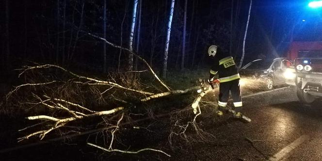 Orkan Sabina zbiera żniwa. Strażacy usuwają skutki wichury