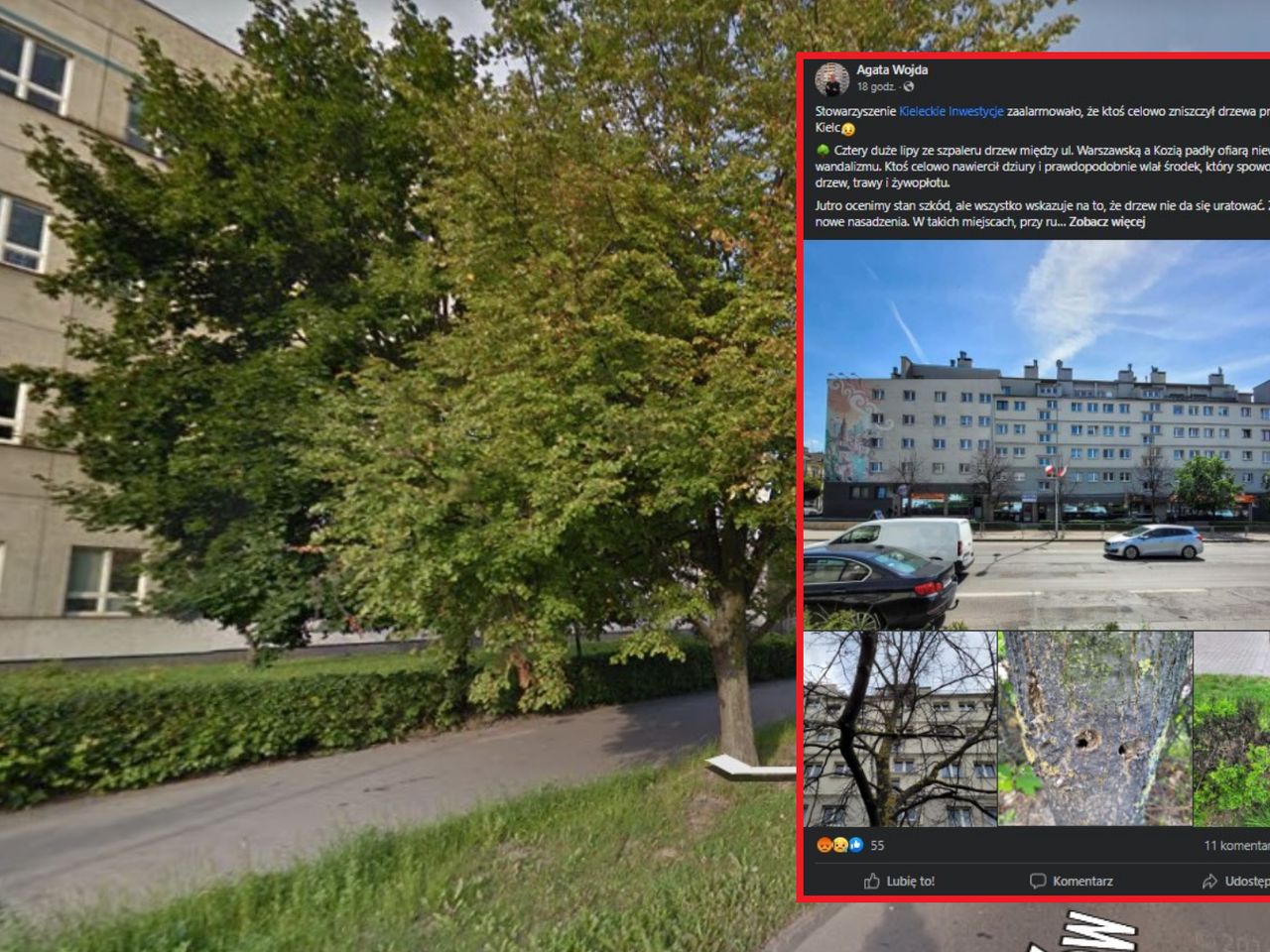 Truciciel w centrum Kielc! Wiceprezydent: niewytłumaczalne [ZDJĘCIA]