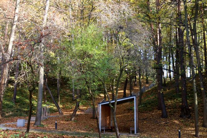 Park Miejski, Starachowice