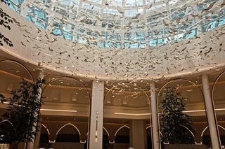 Chmura ptaków z Gdyni pojawiła się nad Dubajem. Zdjęcia zachwycają 