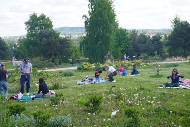 Ogród Botaniczny w Kielcach