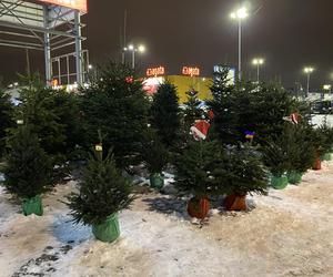Pogoda na grudzień. Jakie będą święta Bożego Narodzenia i Sylwester w Białymstoku? 