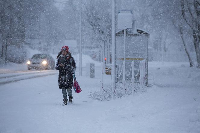 Cyklon Fabian 2020 - burze śnieżne, mróz i silny wiatr w Polsce! Groźny atak zimy