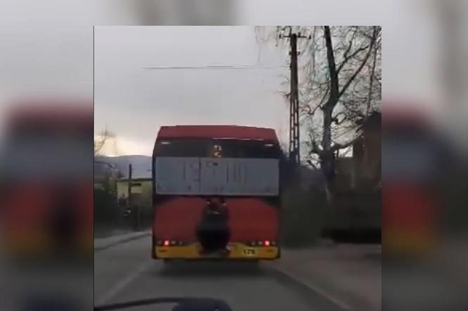 Bielsko-Biała: Pasażer na gapę jechał na zderzaku autobusu! To nagranie jest hitem [ZDJĘCIA]