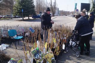 Wiosenny Kiermasz Ogrodniczy w Bydgoszczy [ZDJĘCIA]