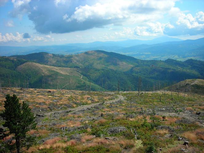 Widok z Baraniej Góry