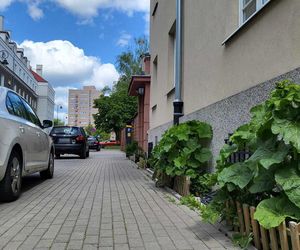 Mieszkanka Mokotowa musi zapłacić karę za posadzenie kwiatów. Kwota powala na kolana! Urząd mówi jasno