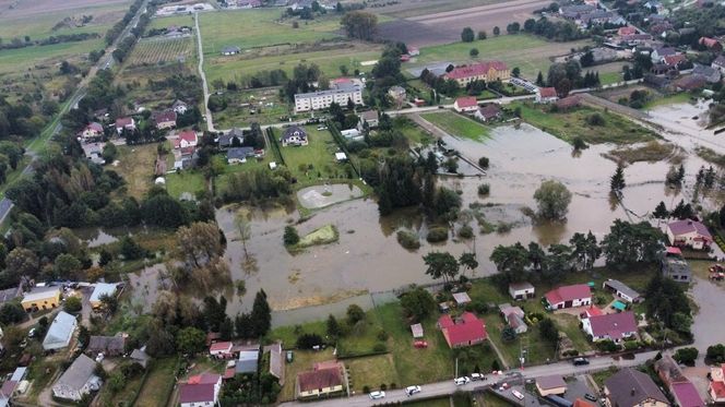 Zalana Osiecznica gm. Krosno Odrzańskie