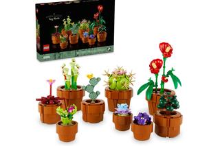 LEGO Icons: Małe roślinki. Świeżutki zestaw klocków, który uczy, bawi i zachwyca! [ZDJĘCIA] 