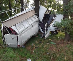 Bus owinął się wokół drzewa, kierowca po alkoholu. Poranny wypadek koło Leszna