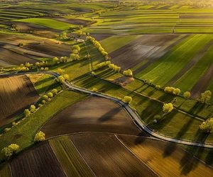 Piękne zdjęcia świętokrzyskich leśników